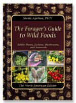 The-Forager’s-Guide-to-Wild-Foods-by--Claude-Davis,-Nicole-Apelian-Cover-eBook