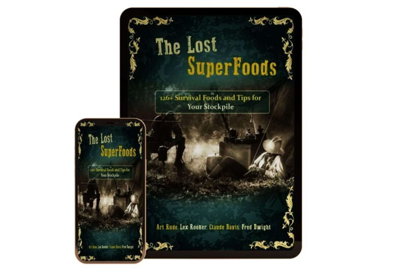 The-Lost-SuperFoods-126+-Survival-Foods-and-Tips-for-Your-Stockpile-Cover--eBook