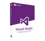 Microsoft Visual Studio Professional 2019 (PC)