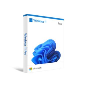 Microsoft Windows 11 Professional License Key