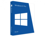 Windows 8.1 Professional OEM