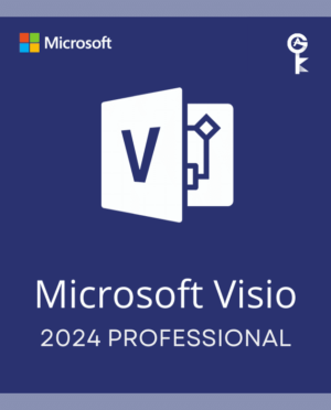 Visio Professional 2024 – (PC)