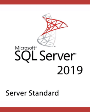 SQL Server 2019 standard Activation key – 1 USER