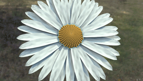 Array Modifier Distribution Method: Phyllotaxis